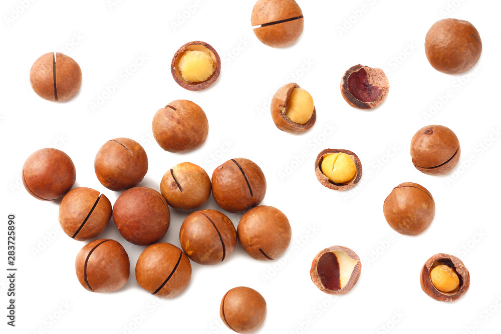 Fototapeta premium Macadamia nut isolated on a white background. top view