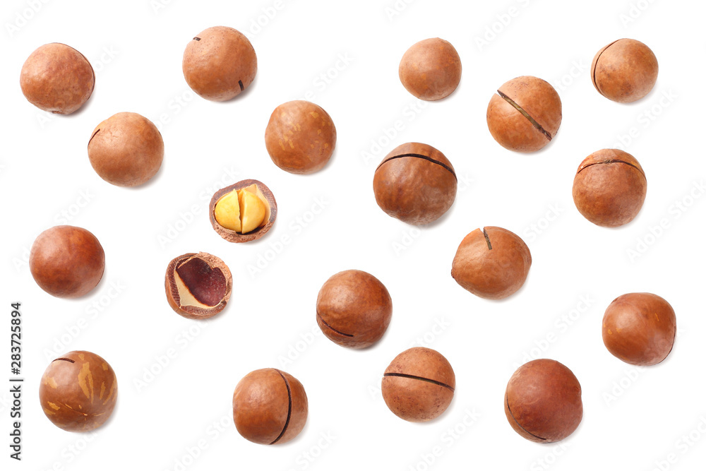 Macadamia nut isolated on a white background. top view Macadamia nut isolated on a white background. top view