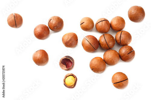 Wallpaper Mural Macadamia nut isolated on a white background. top view Torontodigital.ca