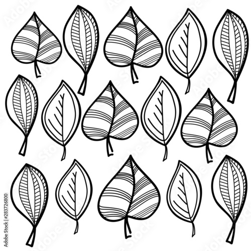 leaf graphics vector line stroke coloring sketch doodle
