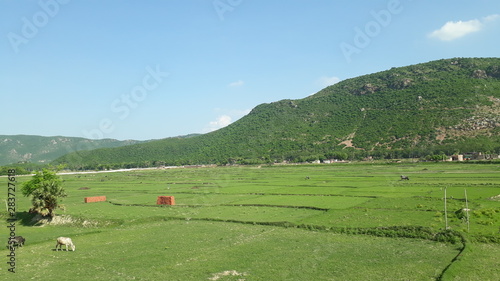A landscape of green hill and green field with blue sky.