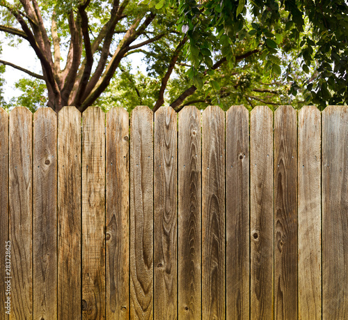 Privacy and security provided by a rustic wood backyard fence with green shade trees background