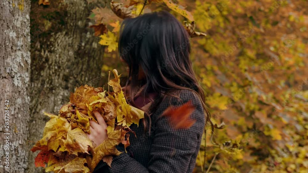 Lovely woman in autumn park Lovely woman in autumn park