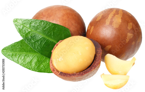 Macadamia nut with green leaves isolated on a white background