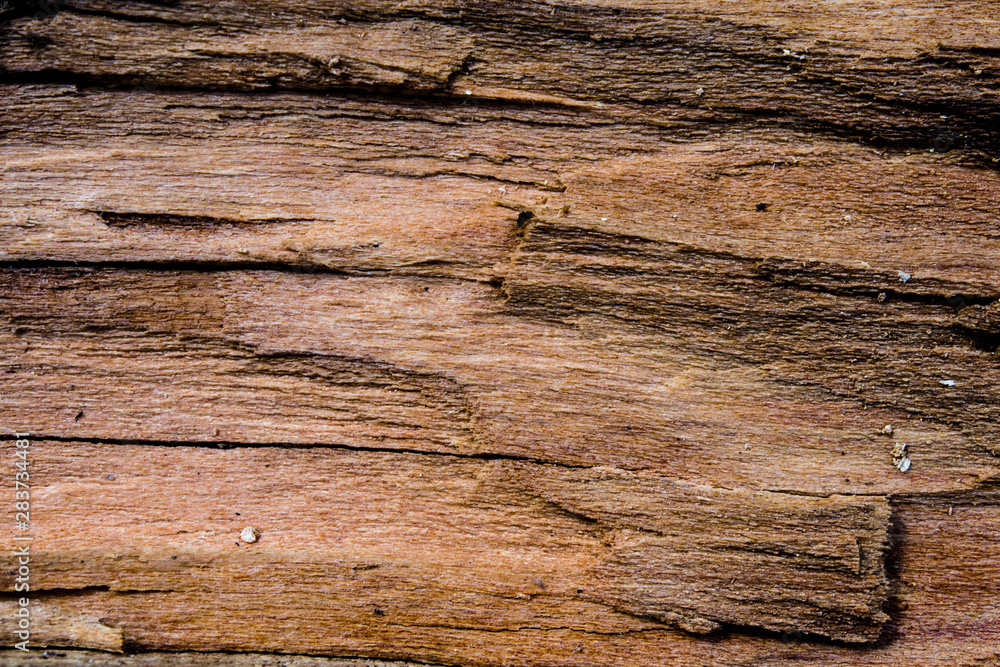An old brown wood background with cracks An old brown wood background with cracks