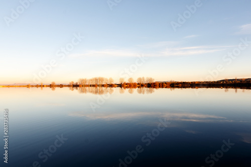 trees in the lake © larrui