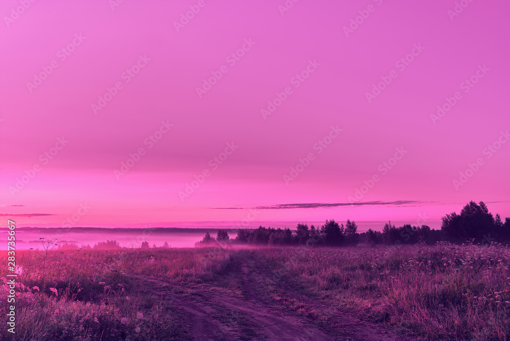 Purple sunrise in the field. Pink summer morning Purple sunrise in the field. Pink summer morning