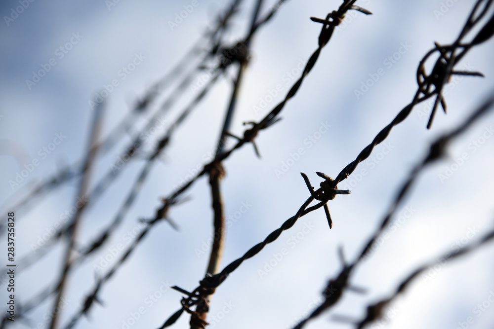 Barbed wire. Barbed wire on fence with blue sky to feel worrying. Barbed wire. Barbed wire on fence with blue sky to feel worrying.