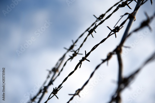 Barbed wire. Barbed wire on fence with blue sky to feel worrying.