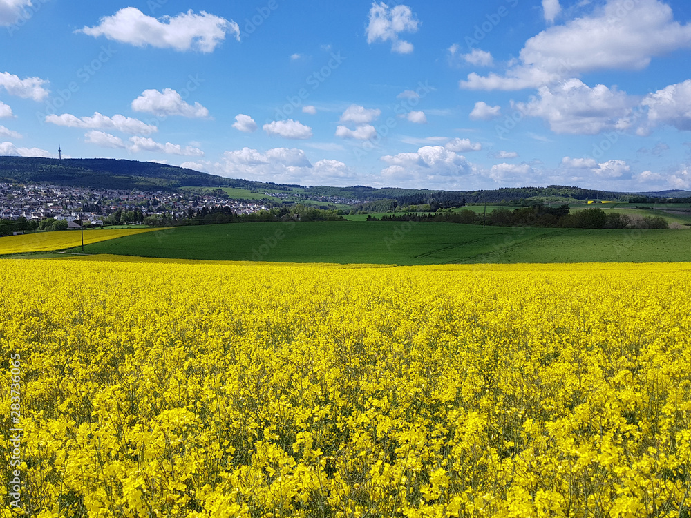 Obraz premium Landschaft, Taunus, Hessen