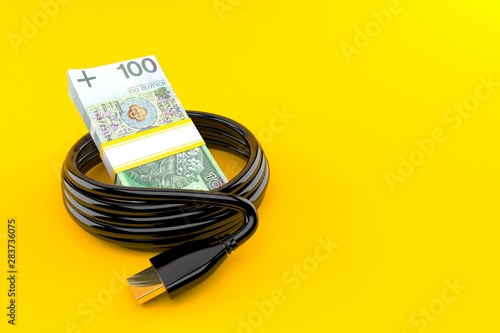 Polish currency with hd cable