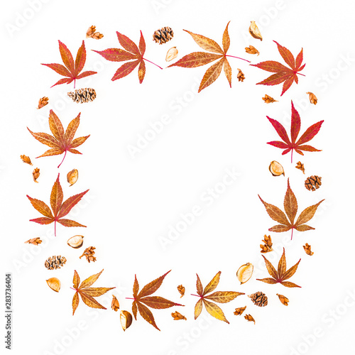 Thanksgiving frame with fall red leaves, dried wild flowers and cones on white background. Flat lay