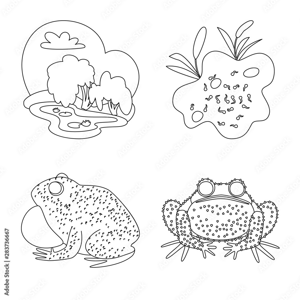 Vector design of amphibian and animal symbol. Collection of amphibian and nature stock vector illustration.