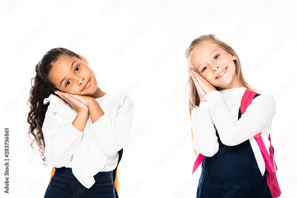 two smiling, tired multicultural schoolgirls looking at camera isolated on white two smiling, tired multicultural schoolgirls looking at camera isolated on white