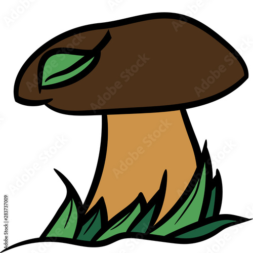 forest fungus edible of the noblest