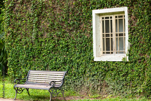 Ancient house window and sofa or chair Covered with vines or climber