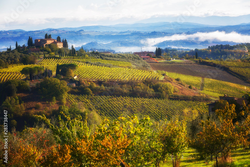 Autumn rural landscape with vineyards in Tuscany, Italy