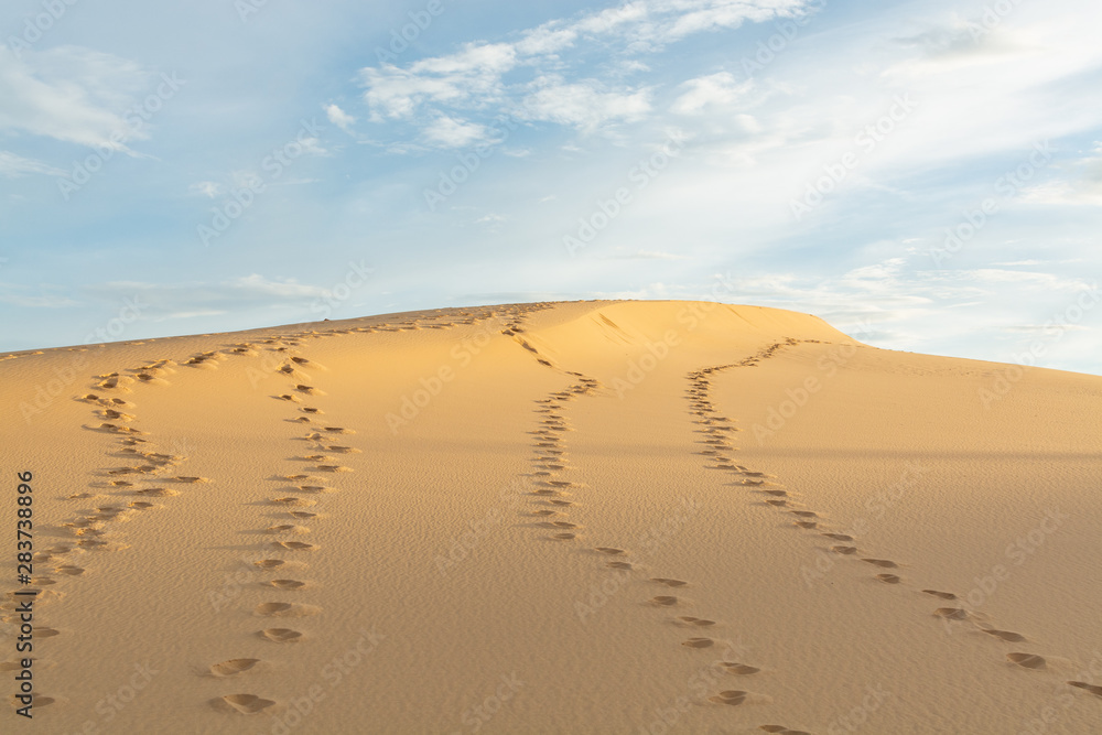 Human footprints on desert sand going towards horizon on hot sunny day