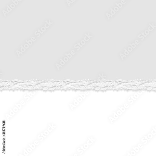 Gray Vector Ripped or Torn Paper Divider Background