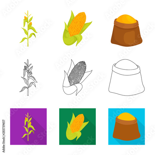 Vector illustration of cornfield and vegetable icon. Set of cornfield and vegetarian stock vector illustration.