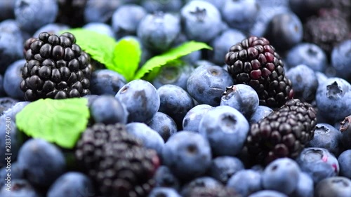 Wallpaper Mural Blueberry and blackberry background. Ripe and juicy fresh picked blueberries rotate closeup. Slow motion 4K UHD video footage. 3840X2160 Torontodigital.ca