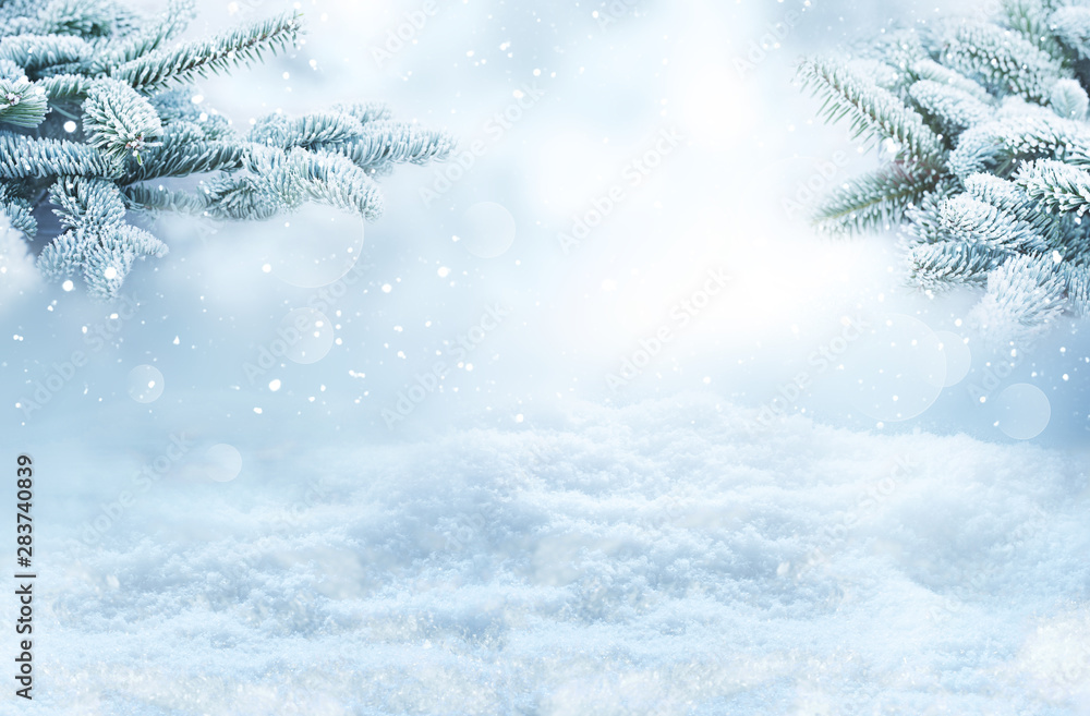 Winter landscape with snowy fir branches Winter landscape with snowy fir branches