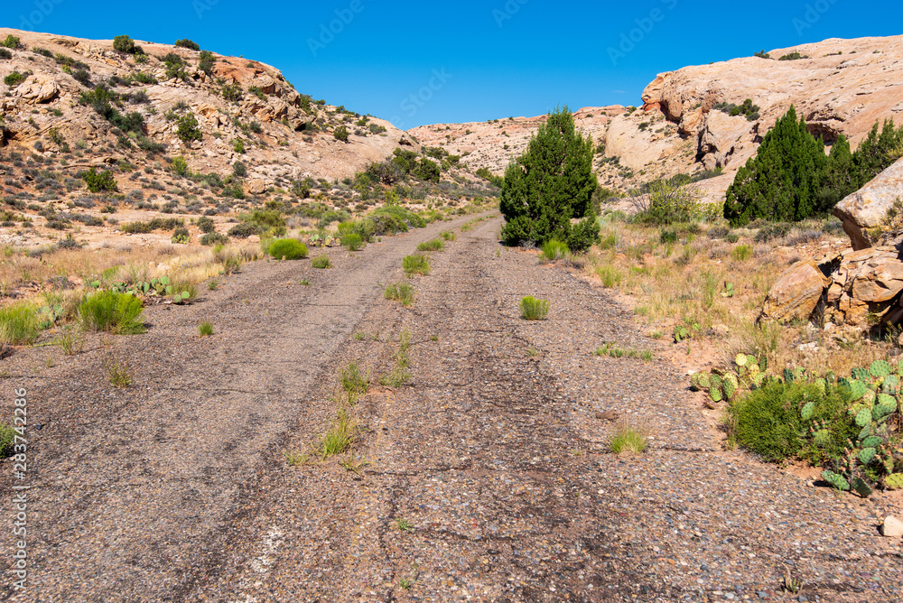 Landscape of old road being taken over by plants and trees surrounded by white stone hills somewhere in Utah Landscape of old road being taken over by plants and trees surrounded by white stone hills somewhere in Utah