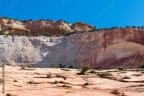 Wallpaper Mural Zion National Park landscape of colorful massive stone wall and foreground Torontodigital.ca