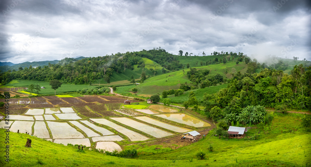 Garden view in  Umphang, Tak, Thailand.