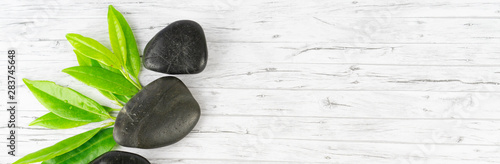 Black stones and a green pl...
