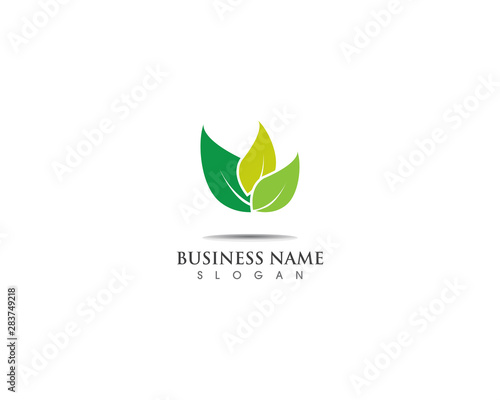 Green leaf logo design nature ecology