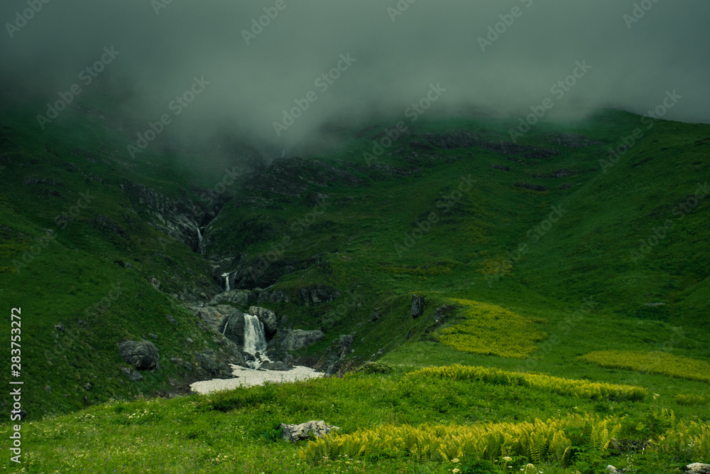 Fototapeta premium Valley of flower on mountains of Uttarakhand India