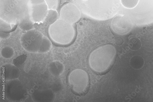 Wallpaper Mural Hand painted white alcohol ink background. Abstract delicate gray texture. Contemporary wallpaper. Torontodigital.ca