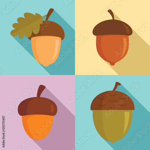Acorn icons set. Flat set of acorn vector icons for web design