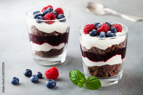 Layered trifle dessert with chocolate sponge cake, whipped cream, berries and fruit jelly in serving glasses.