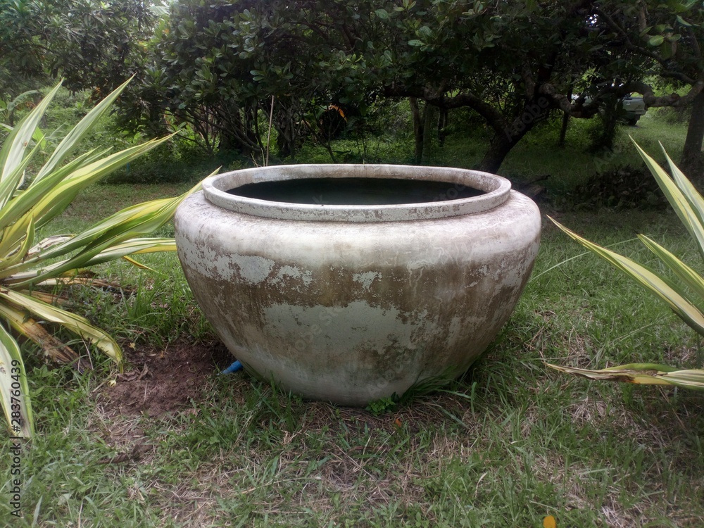 barrel in garden