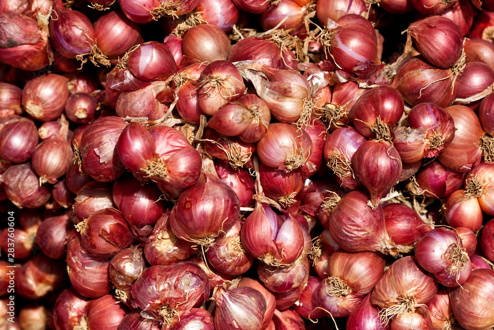 Fresh shallot on display at local market Fresh shallot on display at local market
