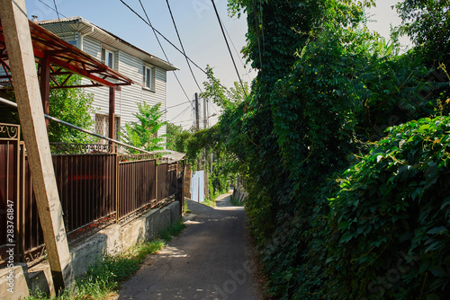 Narrow street in Almaty city with residential buildings and trees, landscape with dense green vegetation, summer sunny Kazakhstan