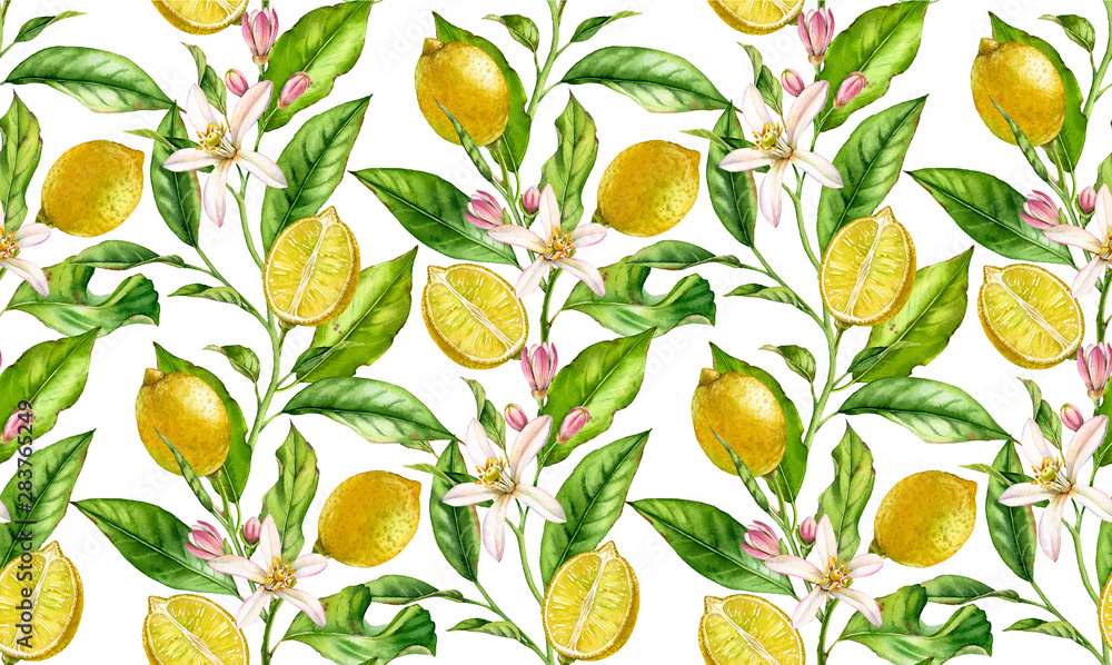 Lemon fruit seamless pattern watercolor tree branch with flowers realistic botanical floral surface design: whole half citrus leaves isolated artwork on white hand drawn for textile wallpaper Lemon fruit seamless pattern watercolor tree branch with flowers realistic botanical floral surface design: whole half citrus leaves isolated artwork on white hand drawn for textile wallpaper