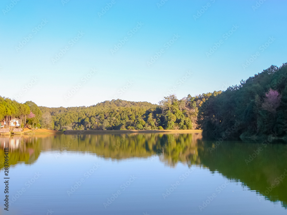 Obraz premium Colorful Nature Forest on Vacation in Thailand