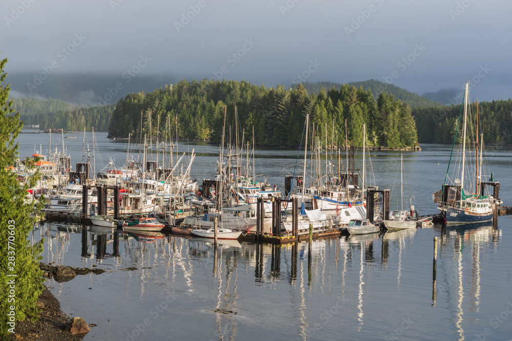fishing boats moored in harbor