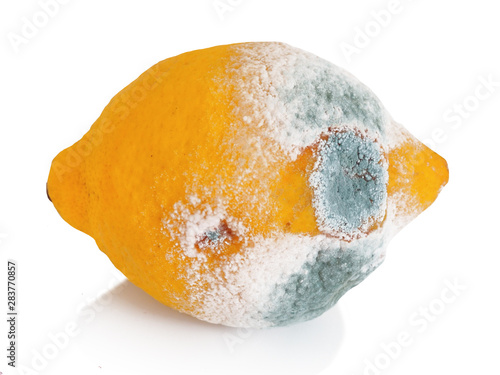 Spoilt lemon on white background
