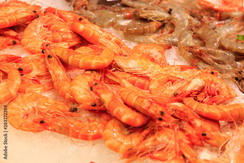 Fresh red prawns on top of ice at La Boqueria market Fresh red prawns on top of ice at La Boqueria market