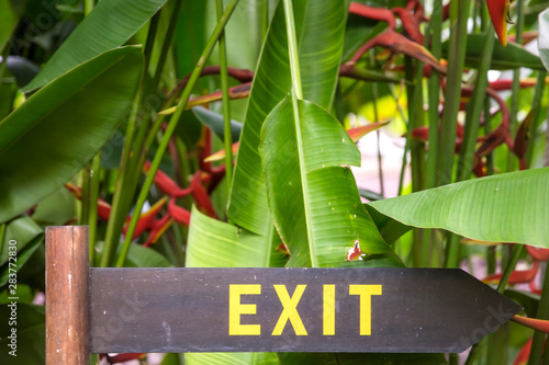 Exit sign on a wooden plate...