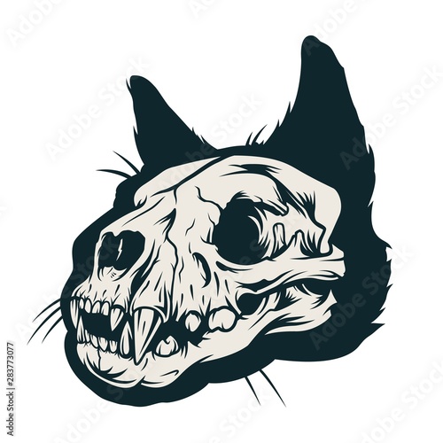 Vintage cat skull concept