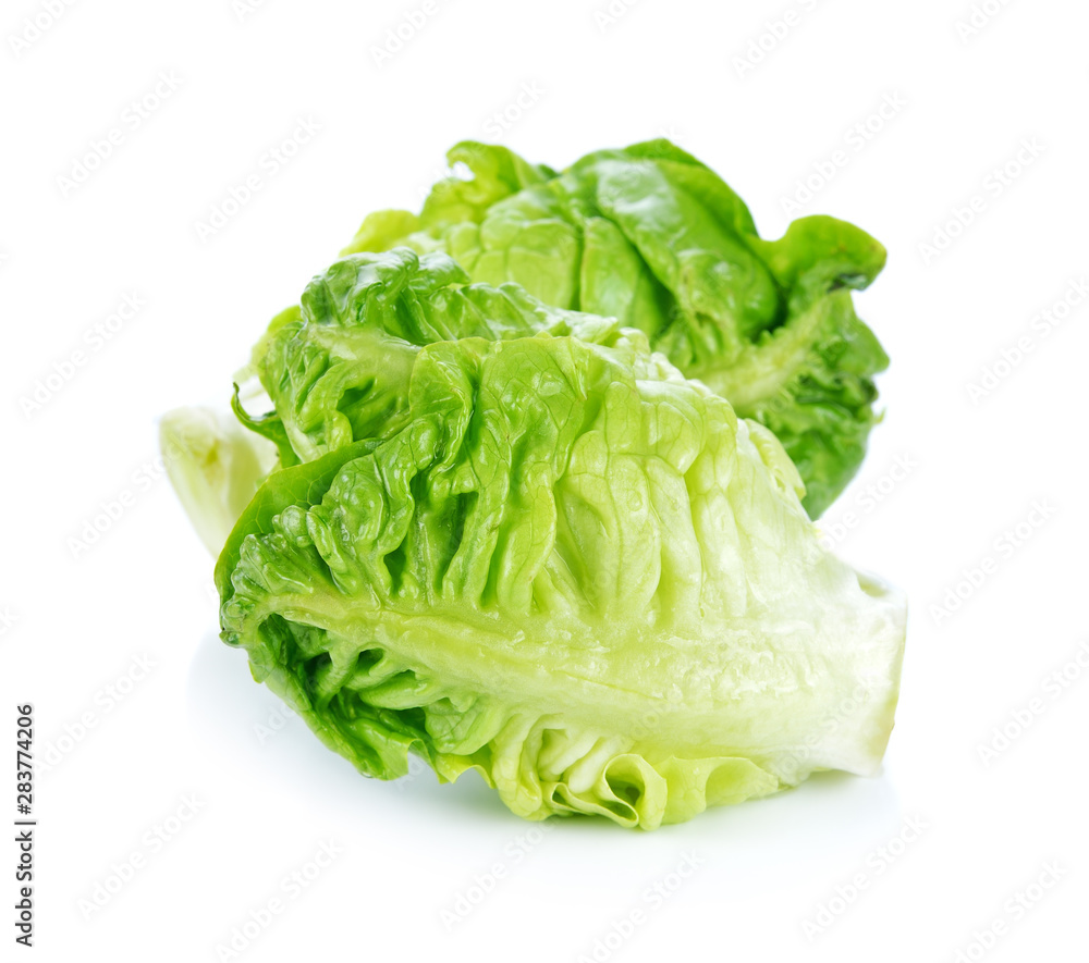 Fresh cos lettuce on white background Fresh cos lettuce on white background