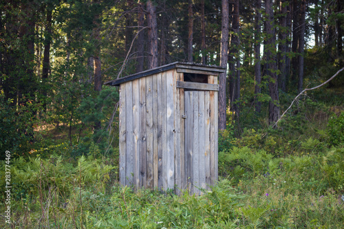 Wooden toilet between summer trees