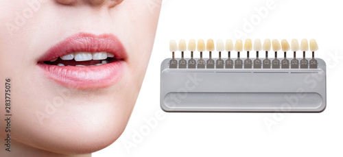 Collage of teeth palette with whitening female teeth.
