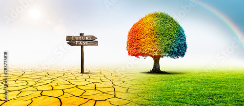 Bunter Baum mit Schild "Future" und "Past" in einer Landschaft