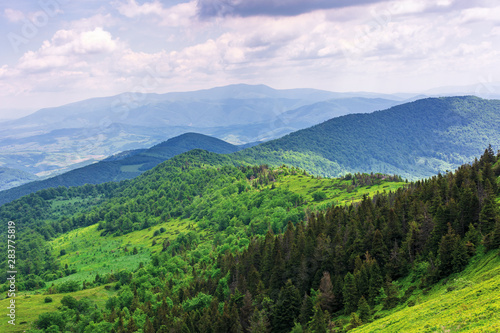 beautiful summer mountain landscape. forested hill rolling in to the distance. borzhava ridge on the horizon beneath a cloudy sky